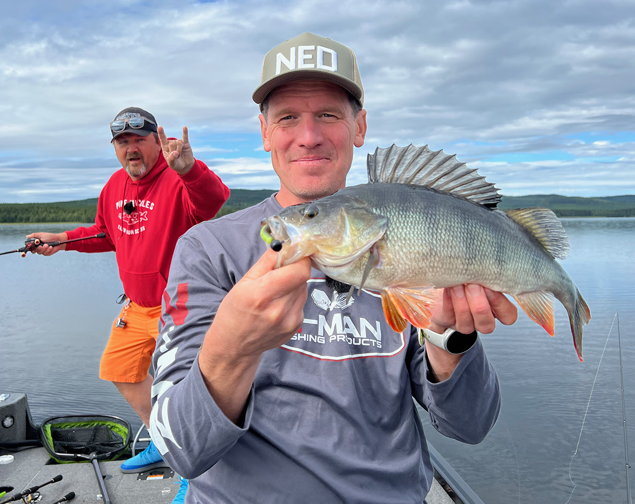 Attitude Baits NED Heads